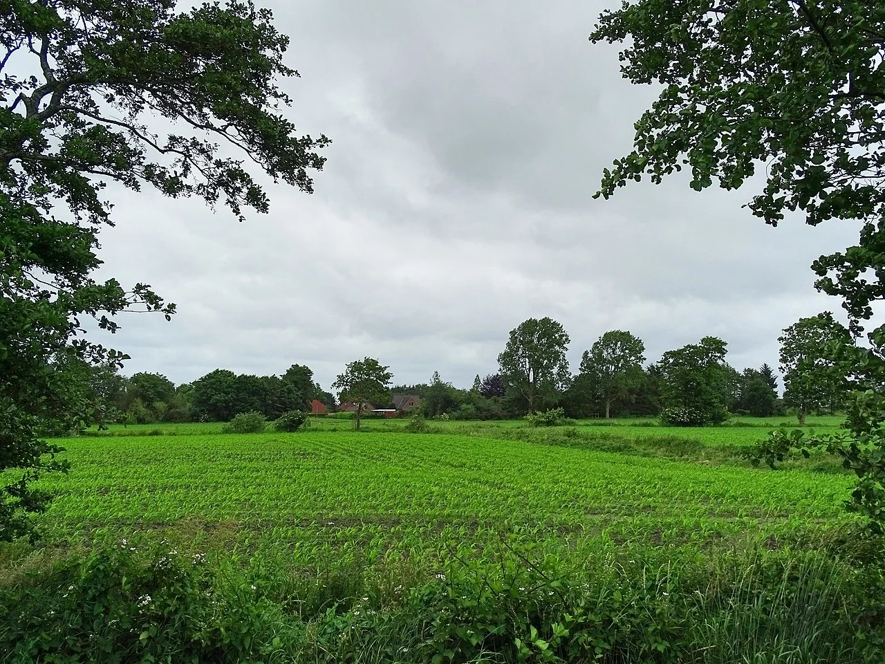 Photo of Upgant-Schott