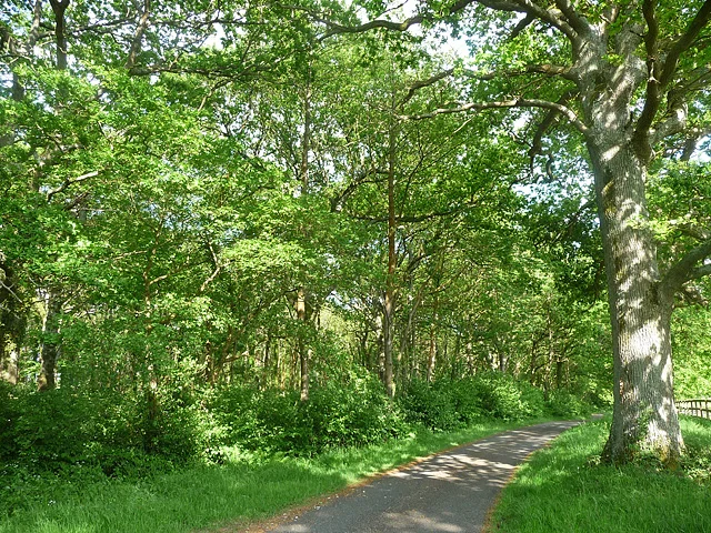 Photo of Upper Norwood