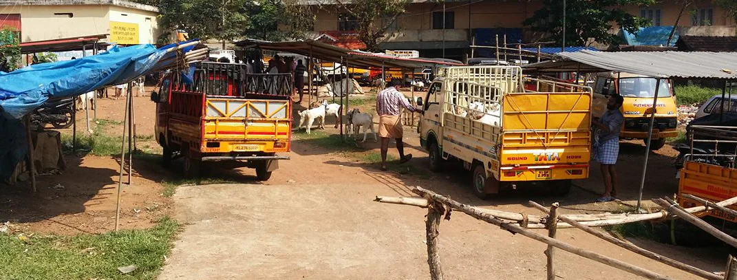 Photo of Uppidamangalam