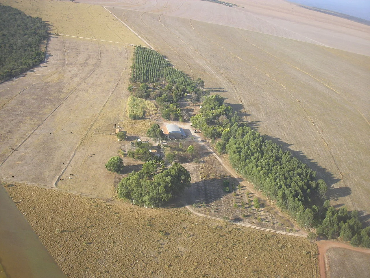 Photo of Uruana de Minas