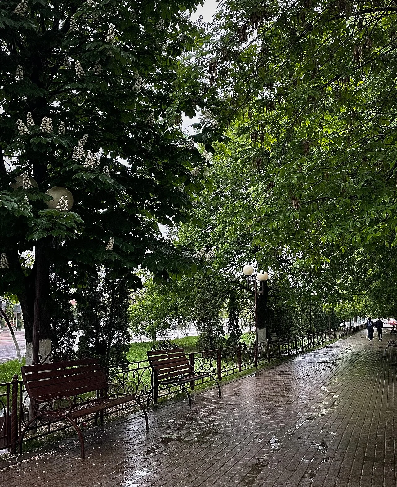 Photo of Urus-Martan