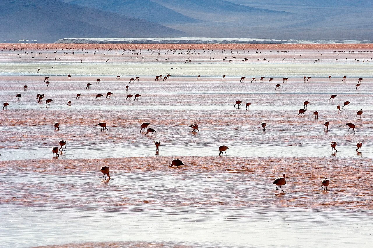 Photo of Uyuni