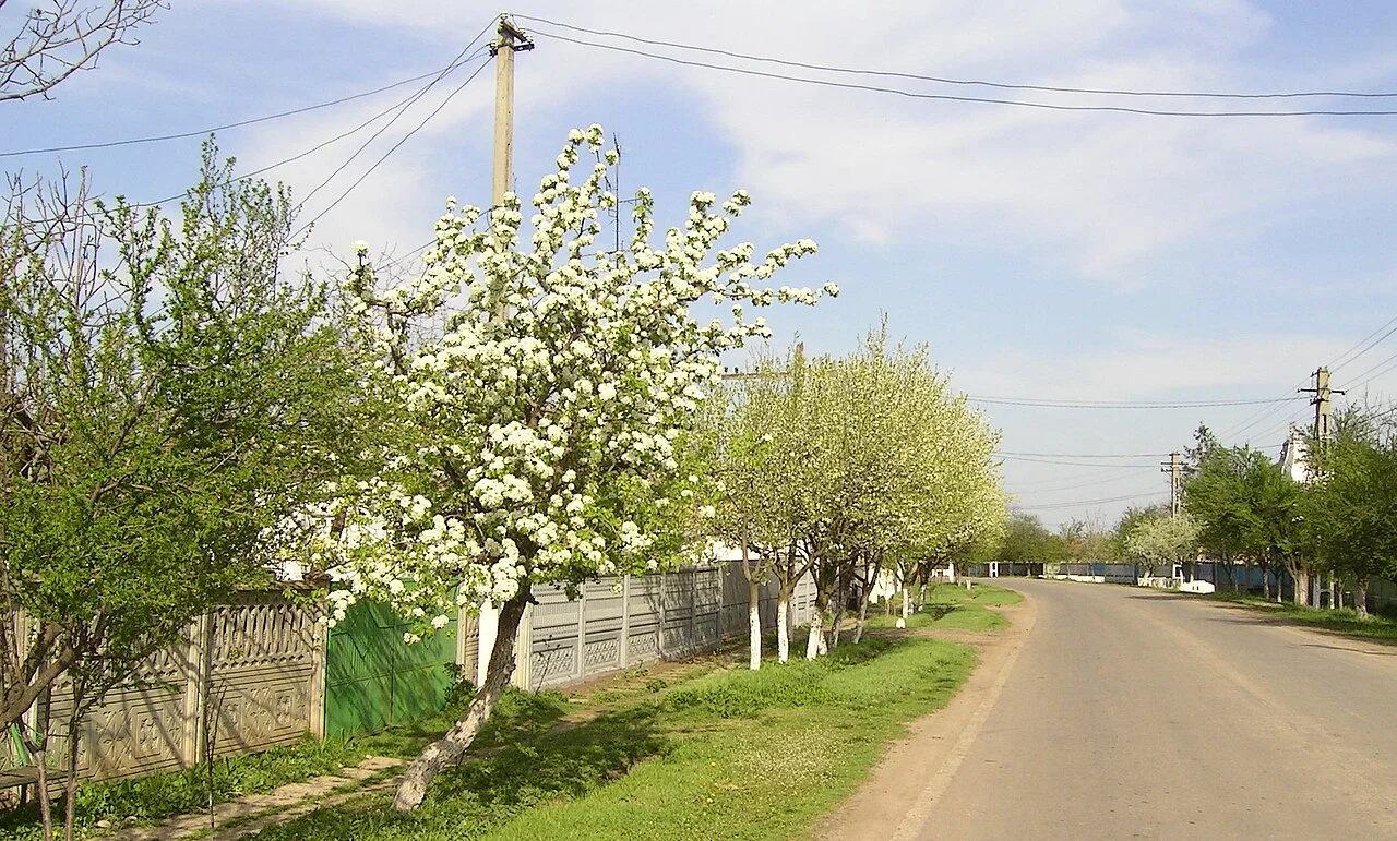 Photo of Vădăstriţa