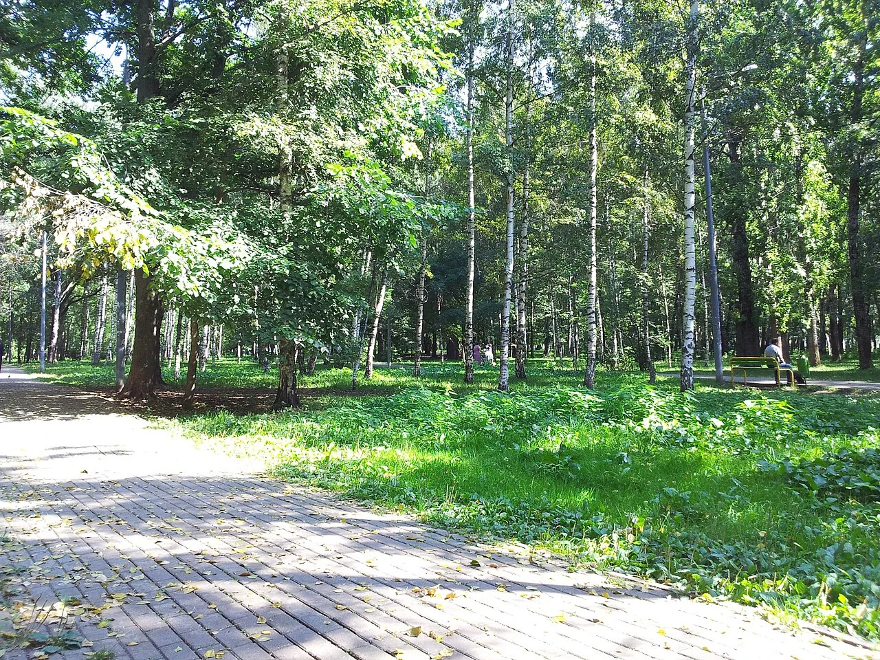 Photo of Vagonoremont