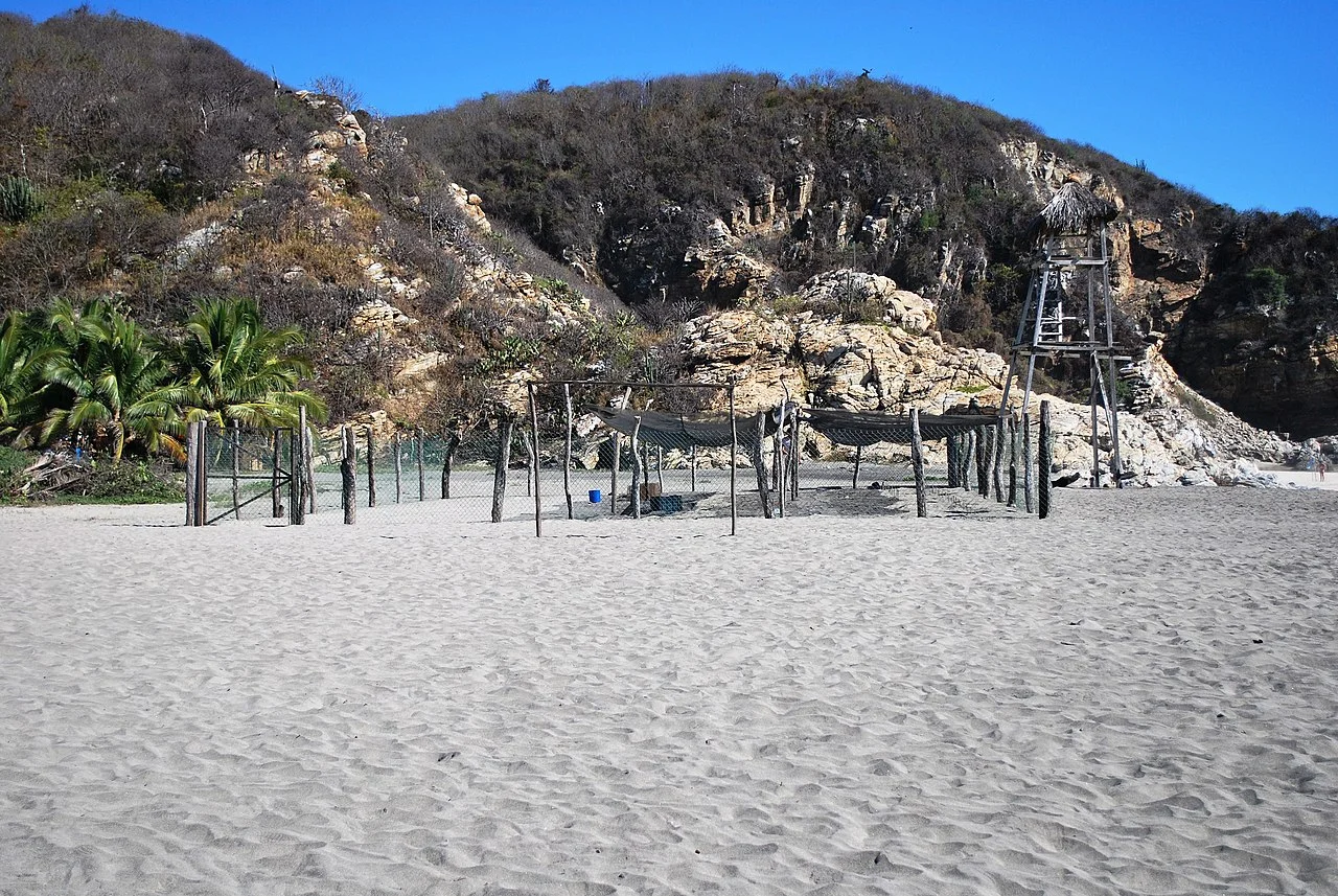 Photo of Valdeflores