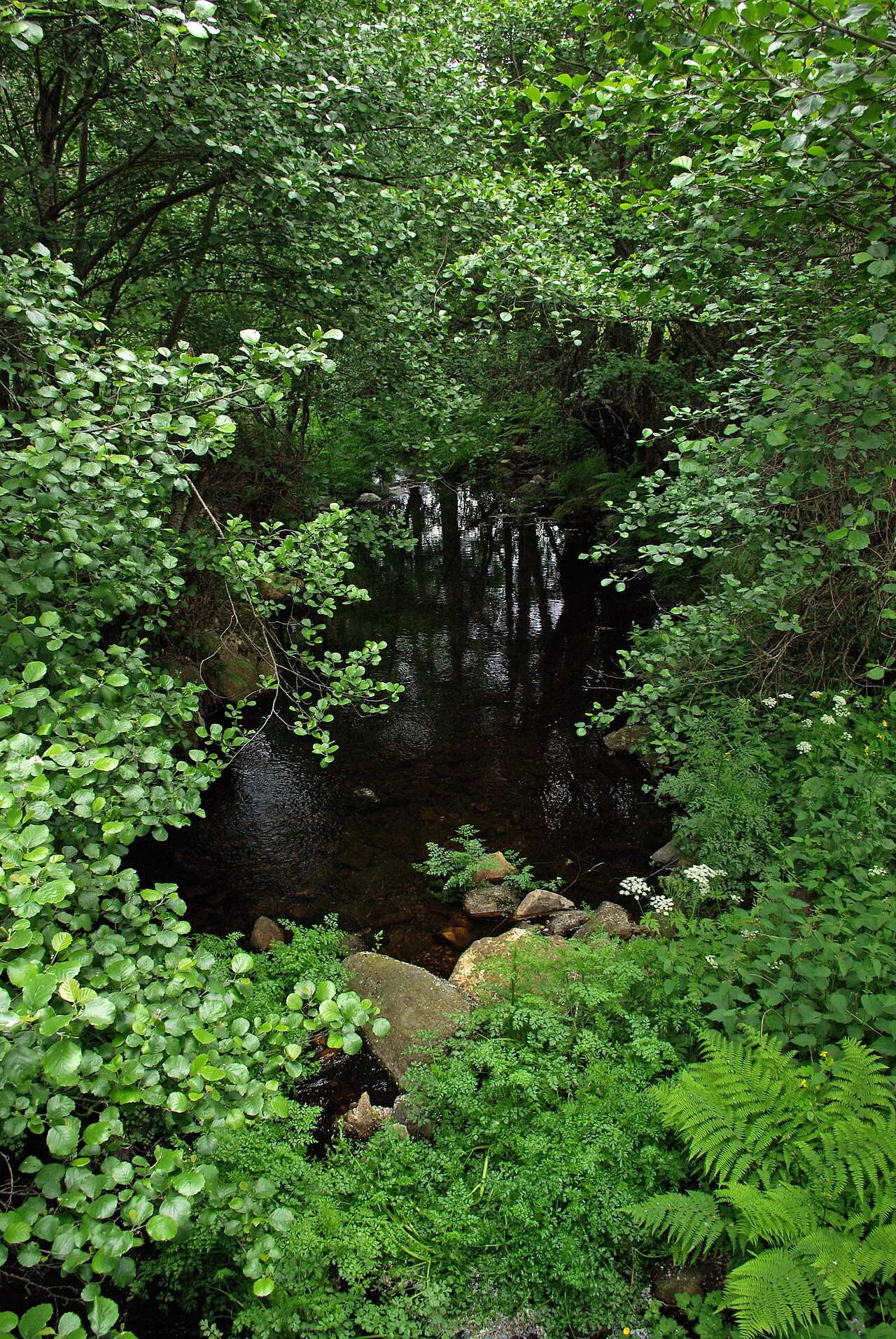 Photo of Valdesamario