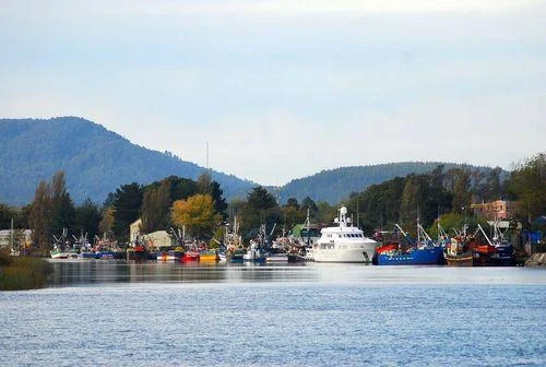 Photo of Valdivia
