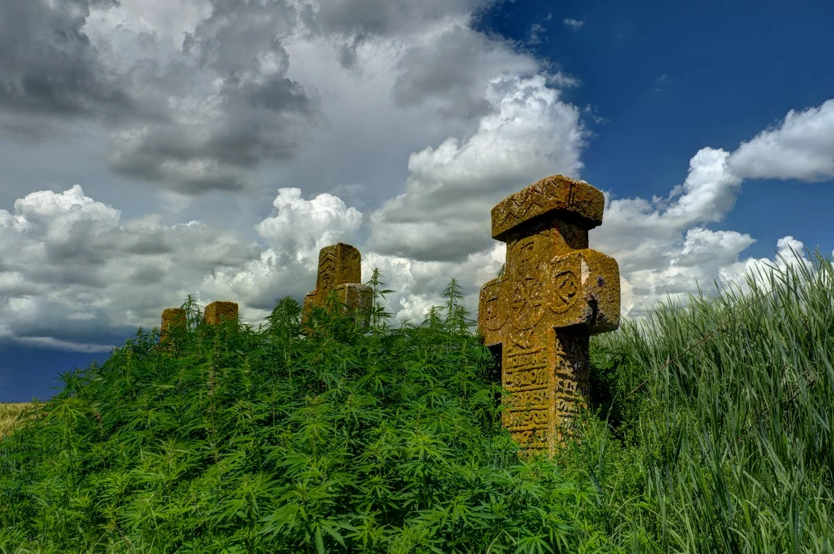 Photo of Valea Măcrișului