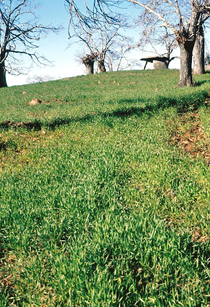 Photo of Valencia de Alcántara