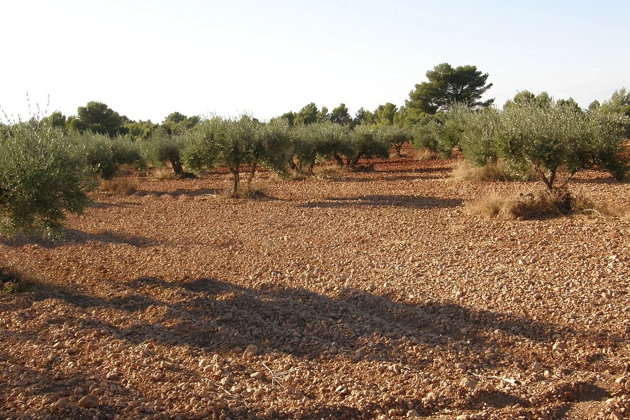 Photo of Valfermoso de Tajuña