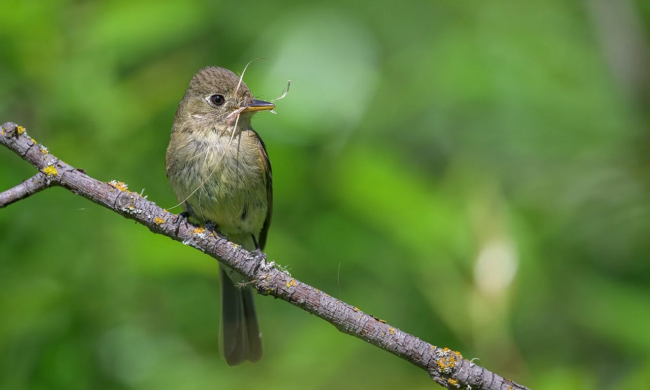 Photo of Valle Vista