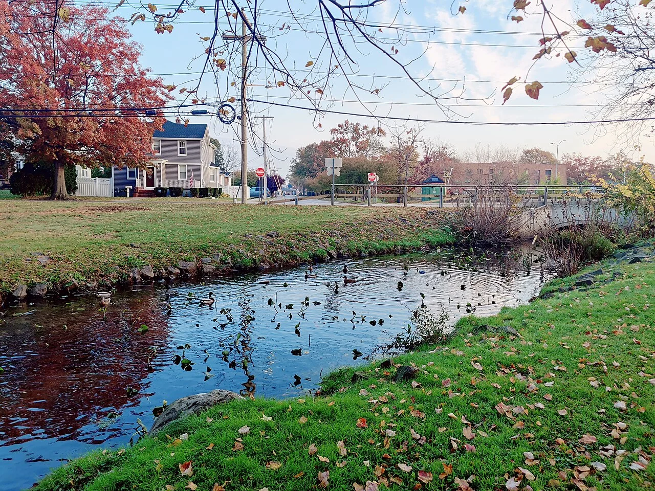 Photo of Valley Stream