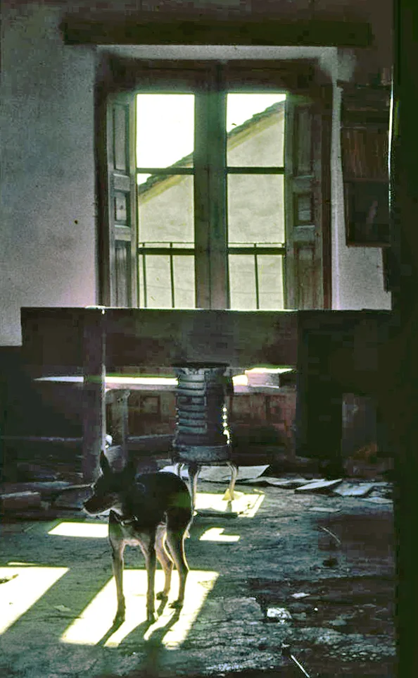 Photo of Valverde de los Arroyos