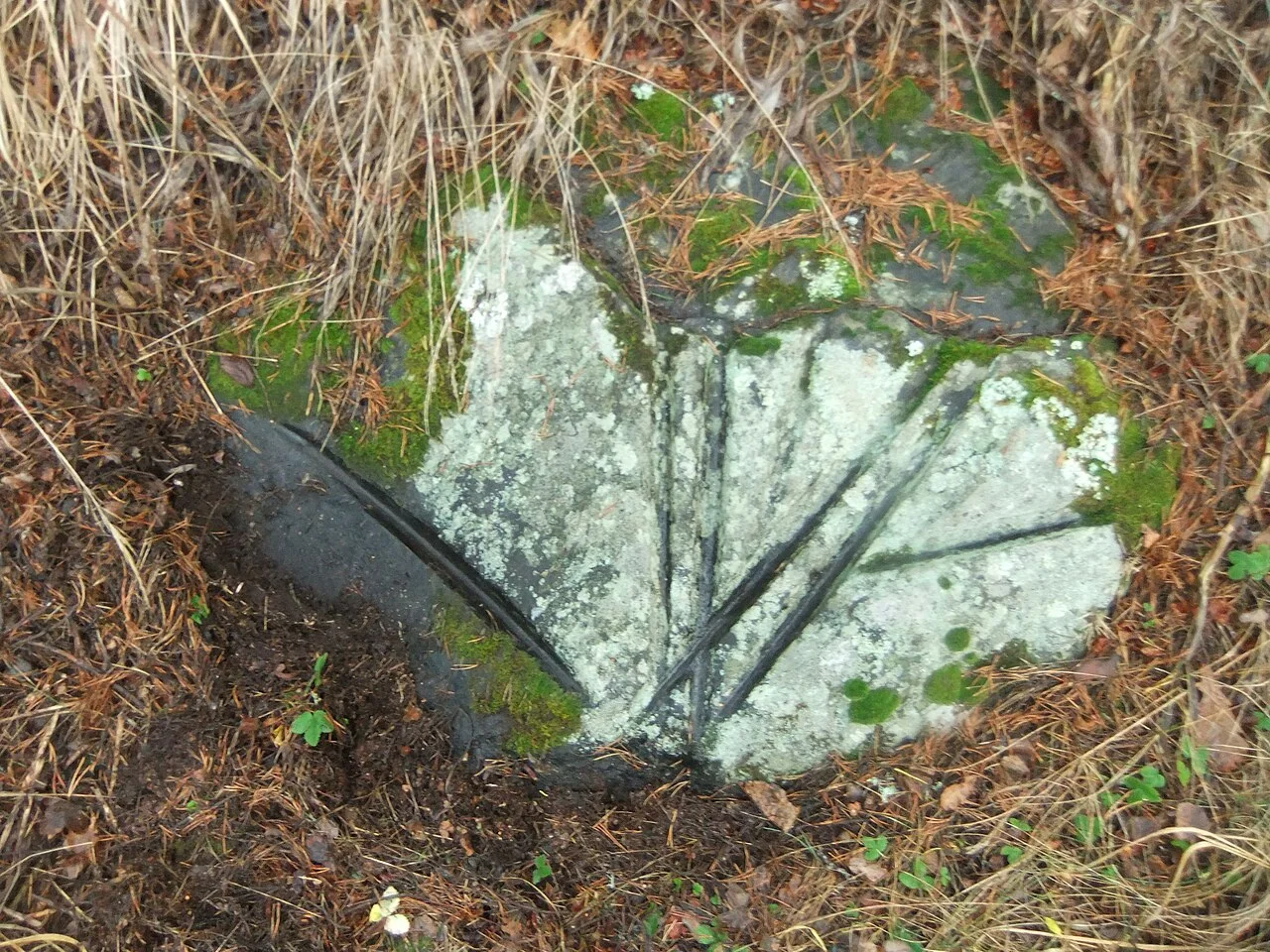 Photo of Vanhakartano