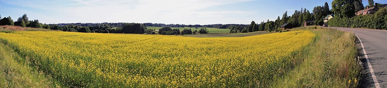 Photo of Vantaanlaakso