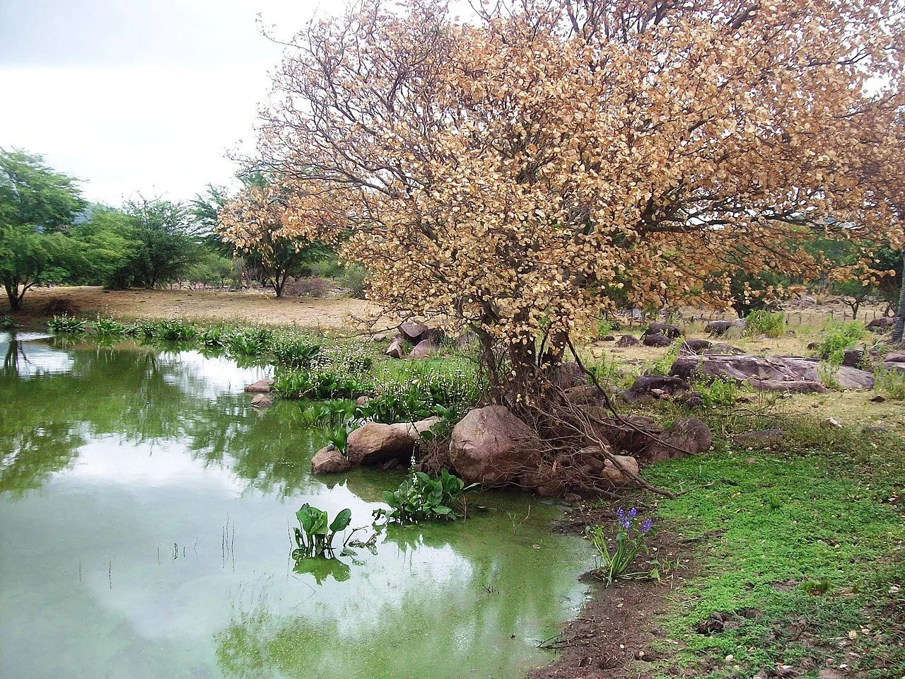 Photo of Várzea da Roça