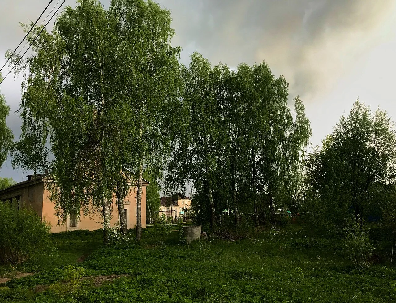 Photo of Vasil’yevskiy Mokh