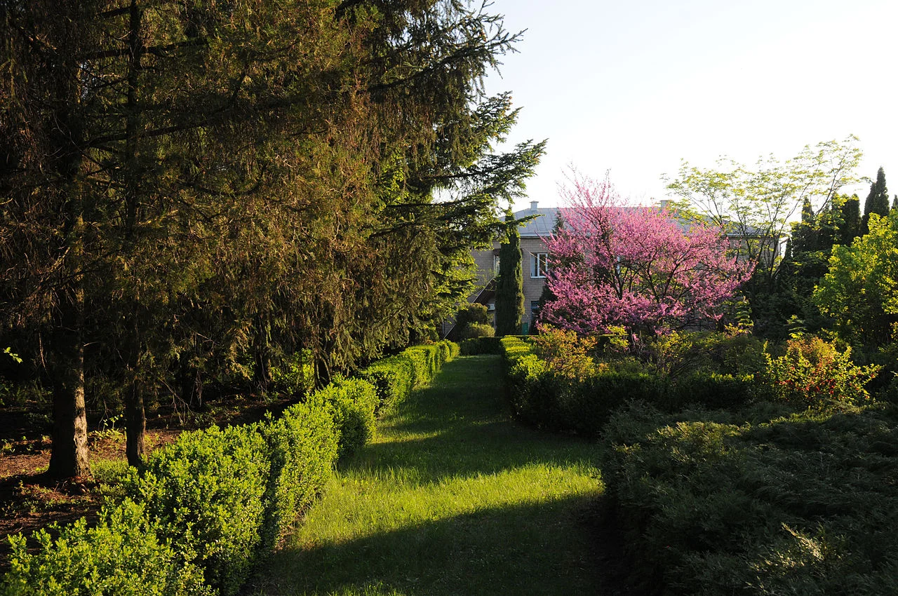 Photo of Vasiutyntsi