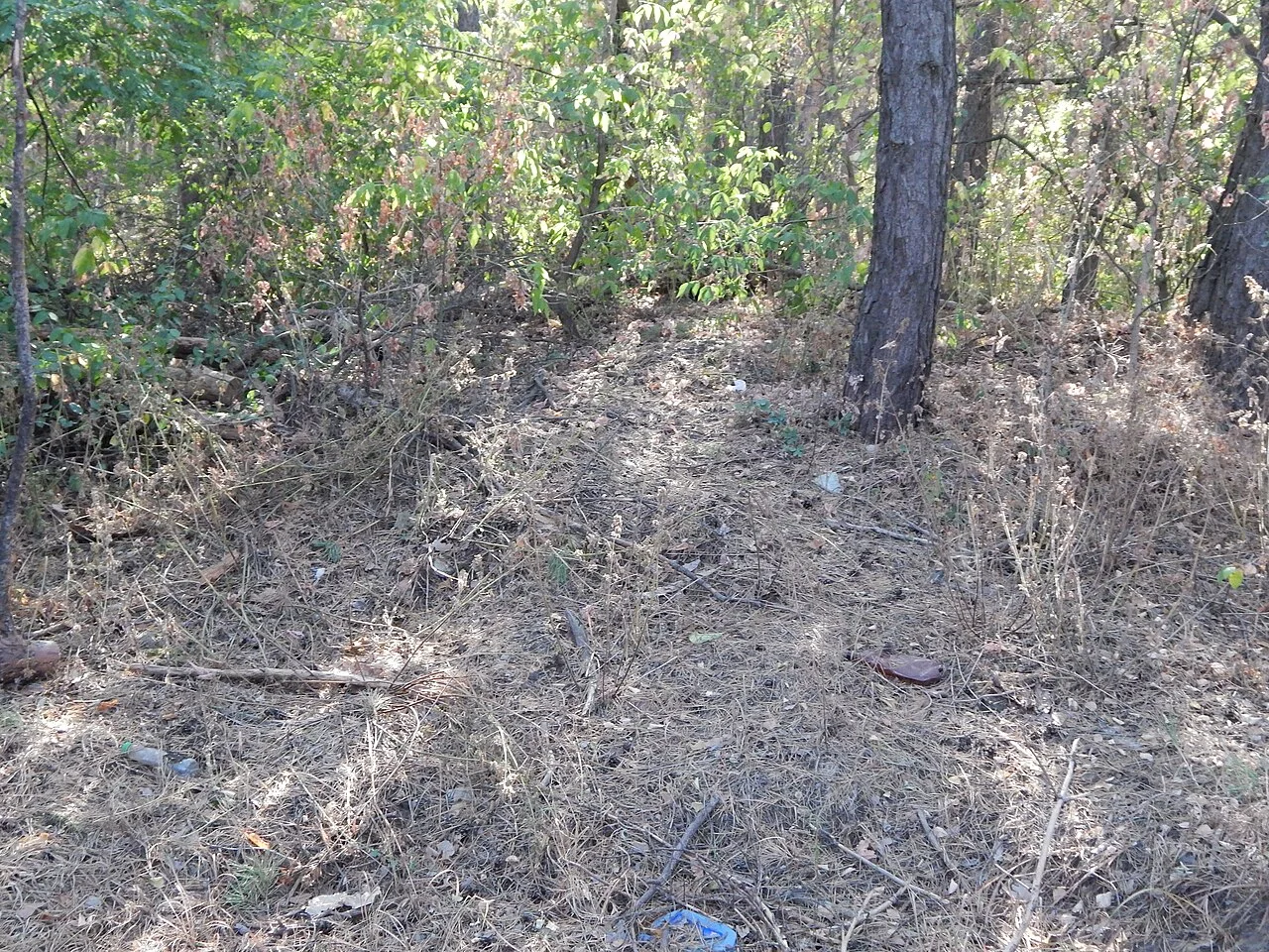 Photo of Vasyshcheve