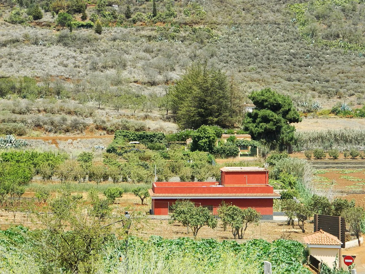 Photo of Vega de San Mateo