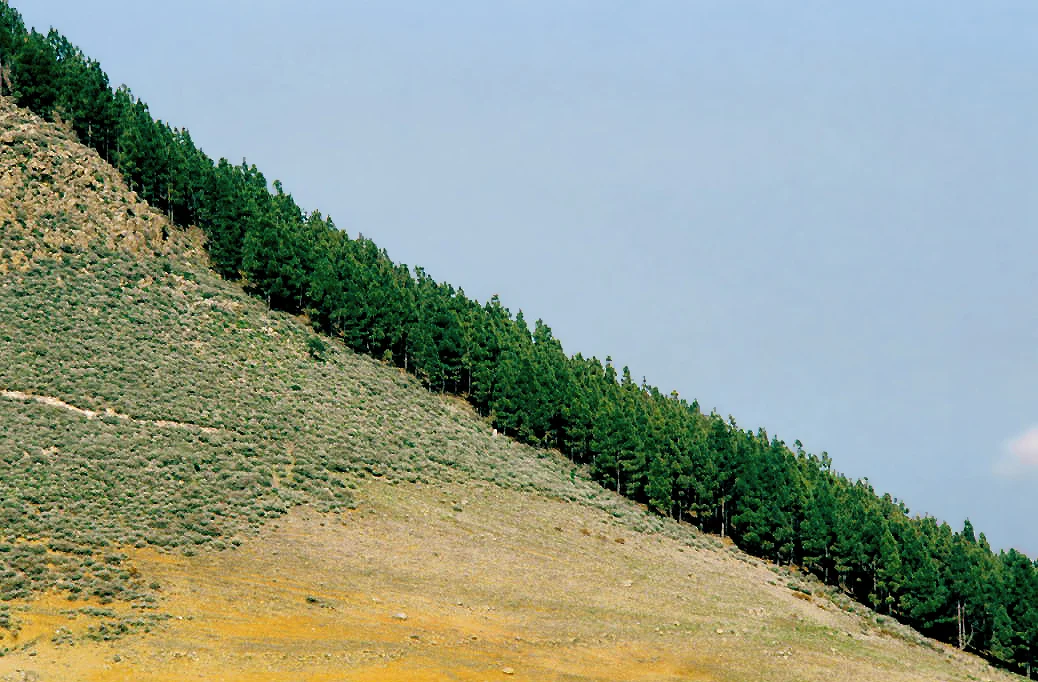 Photo of Vega de San Mateo