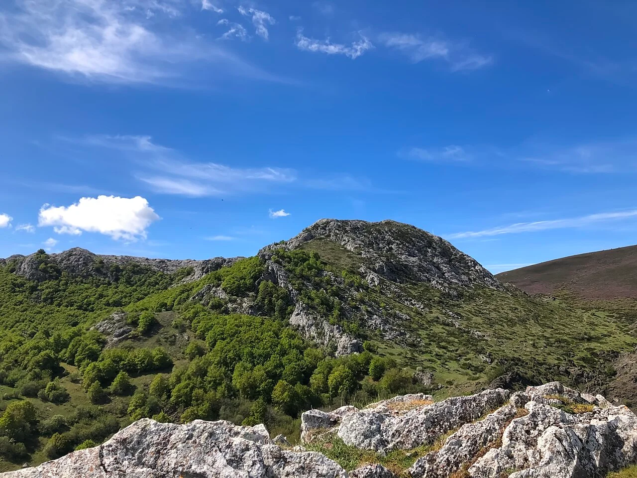 Photo of Vegacervera