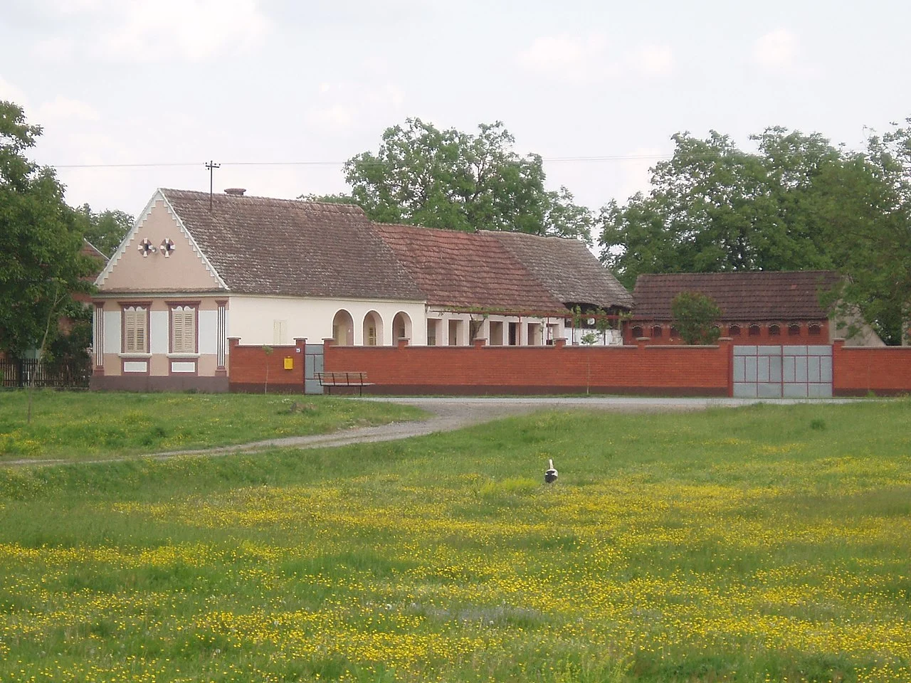 Photo of Velika Kopanica