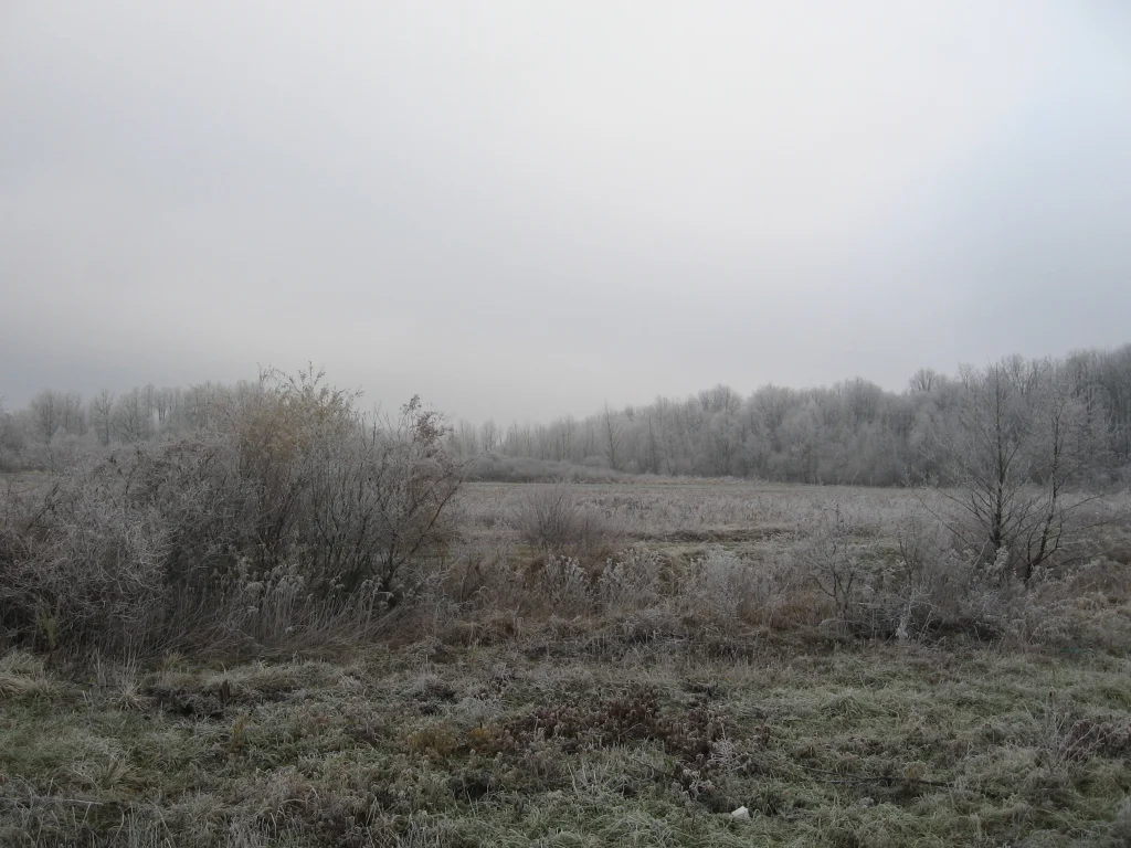 Photo of Velika Ostrna