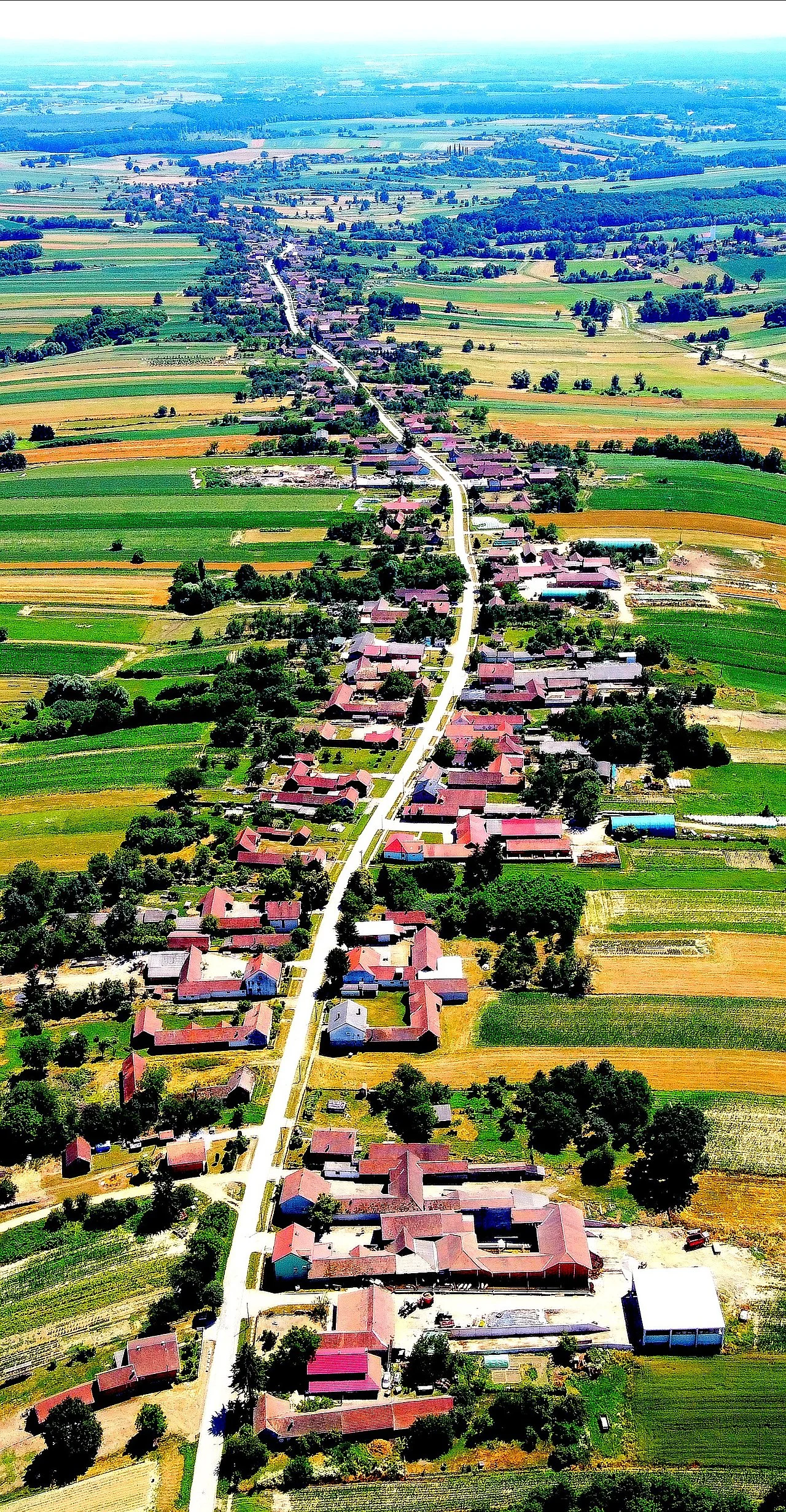 Photo of Velika Trnovitica