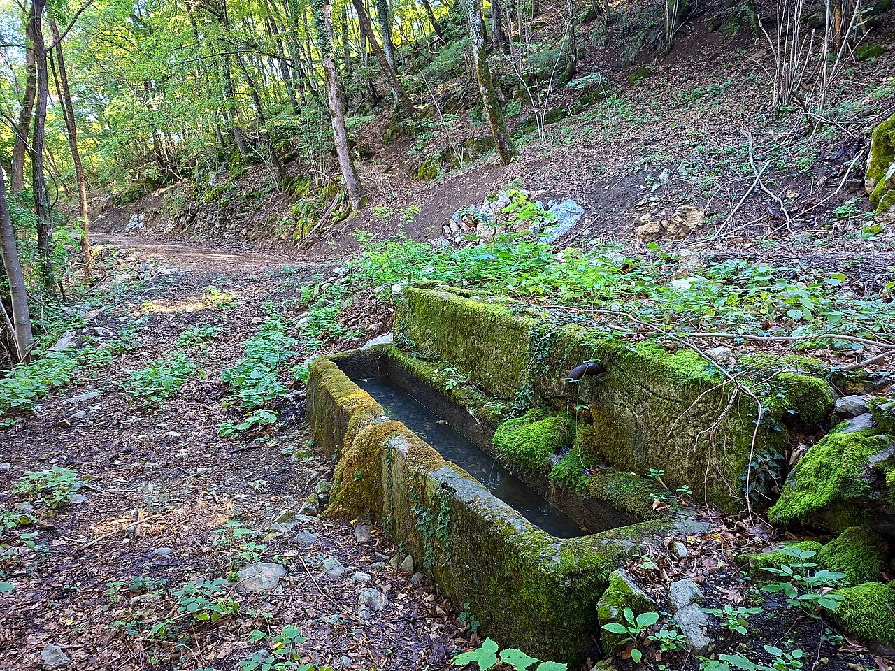Photo of Veliko Polje