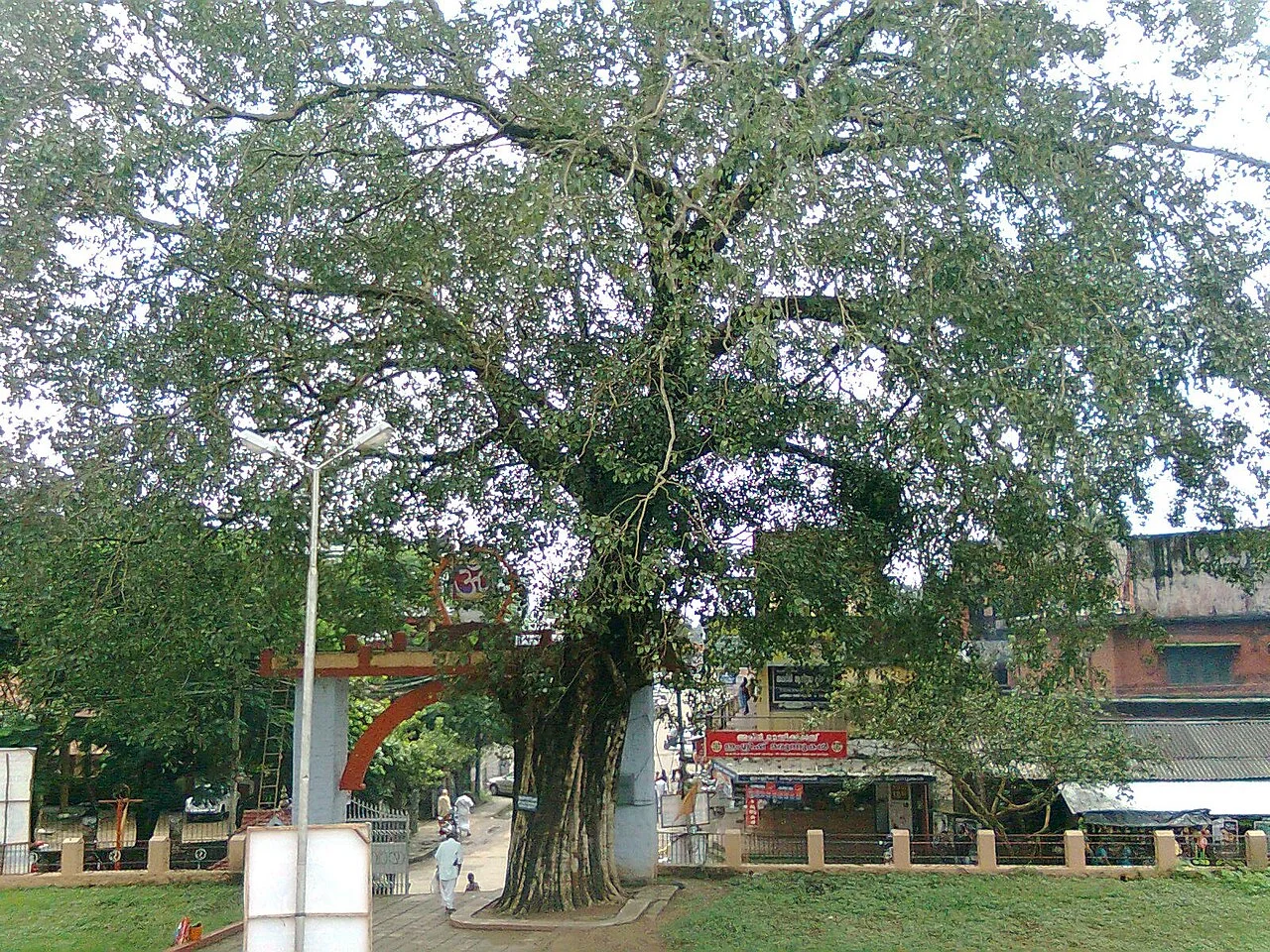 Photo of Velloorkunnam