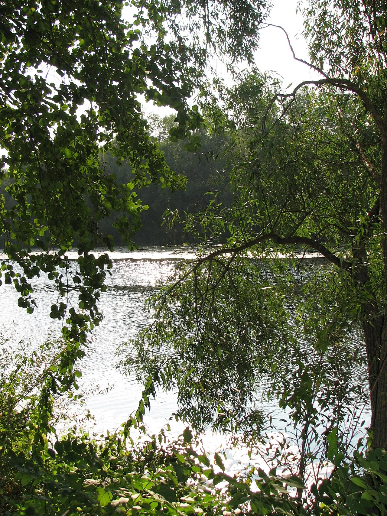Photo of Velyka Bahachka