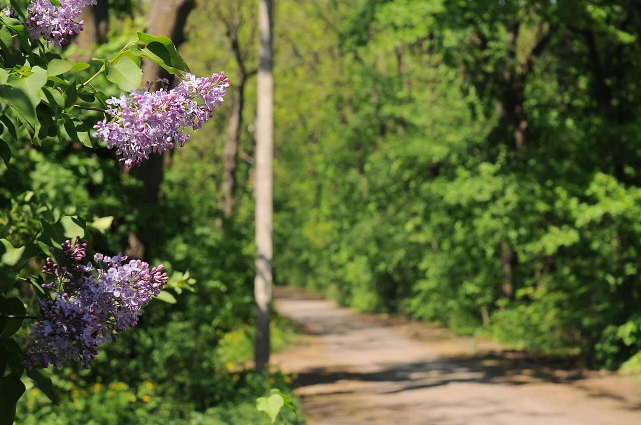 Photo of Velyka Burimka