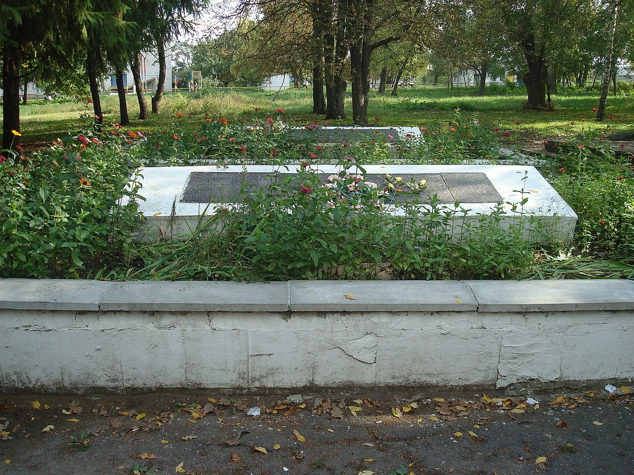 Photo of Velyki Krynky