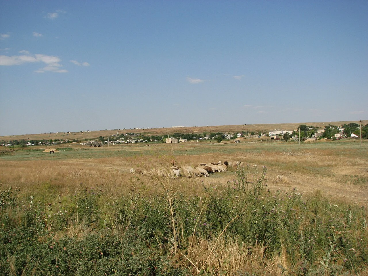 Photo of Velykyi Buialyk