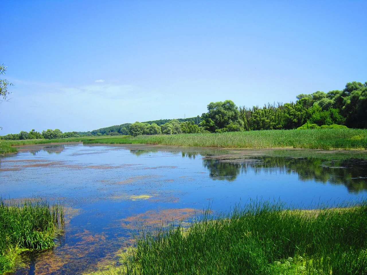 Photo of Velykyi Burluk