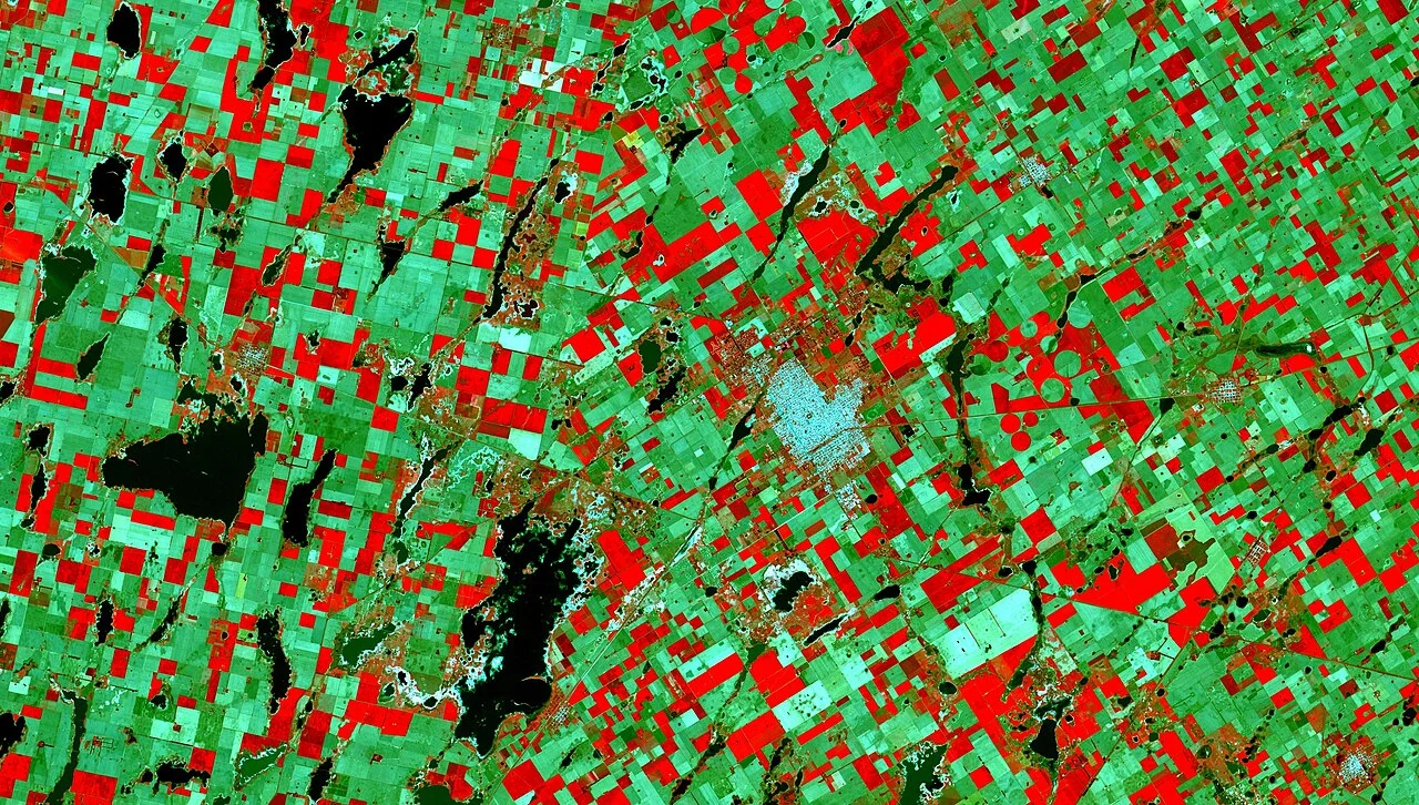 Photo of Venado Tuerto