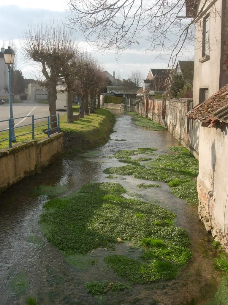 Photo of Vendeuvre-sur-Barse