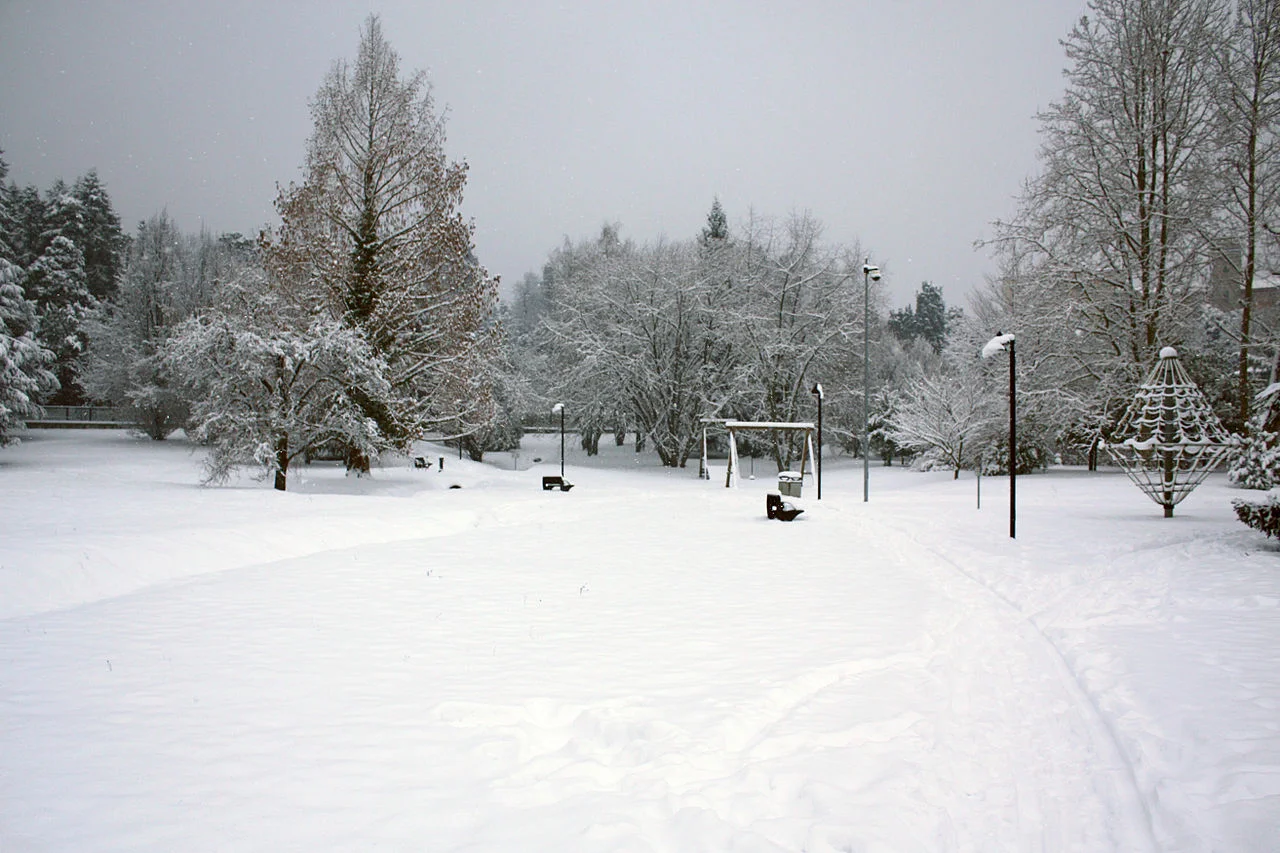 Photo of Venegono Superiore
