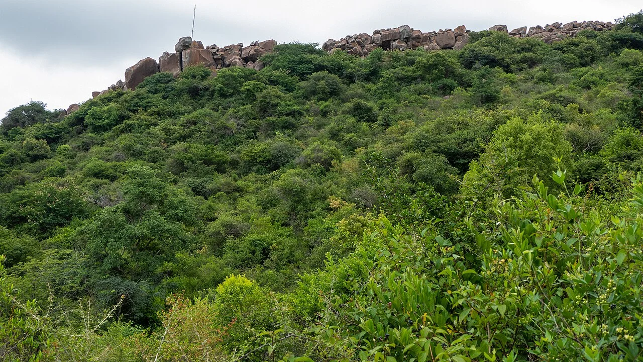 Photo of Venkatapura