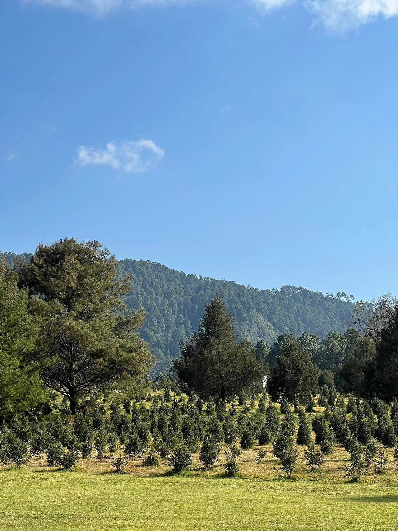 Photo of Venta de Bravo