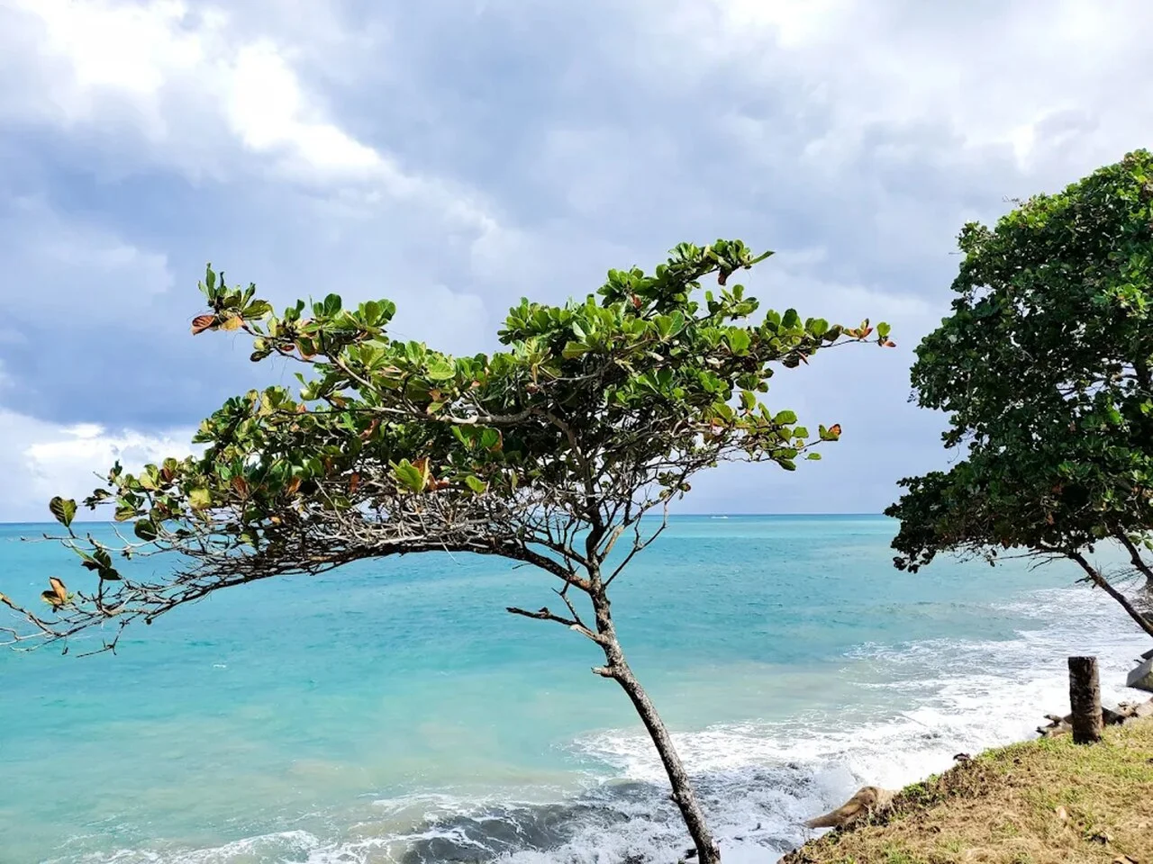 Photo of Veragua Arriba