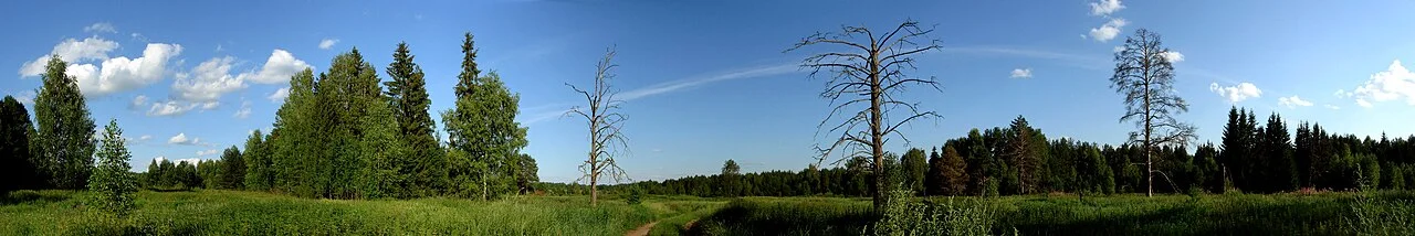 Photo of Vetluzhskiy