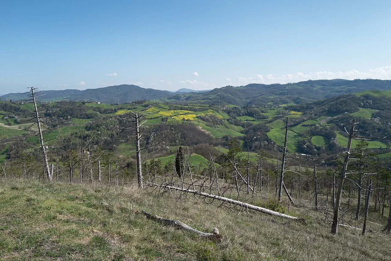 Photo of Vezzano sul Crostolo