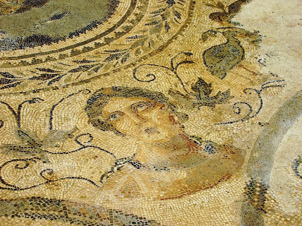 Photo of Vibo Valentia