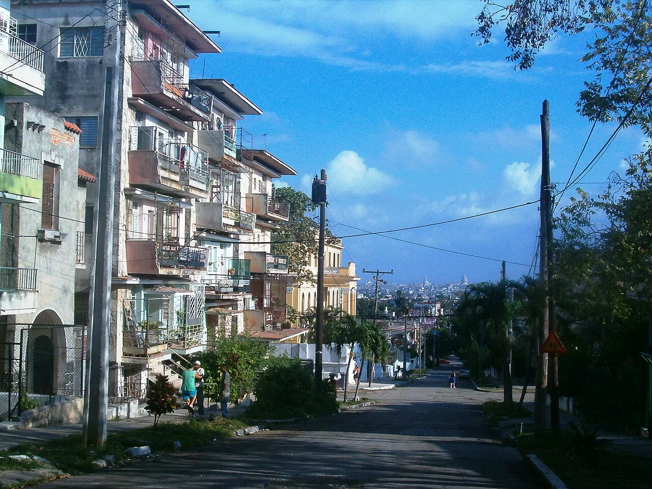 Photo of Víbora