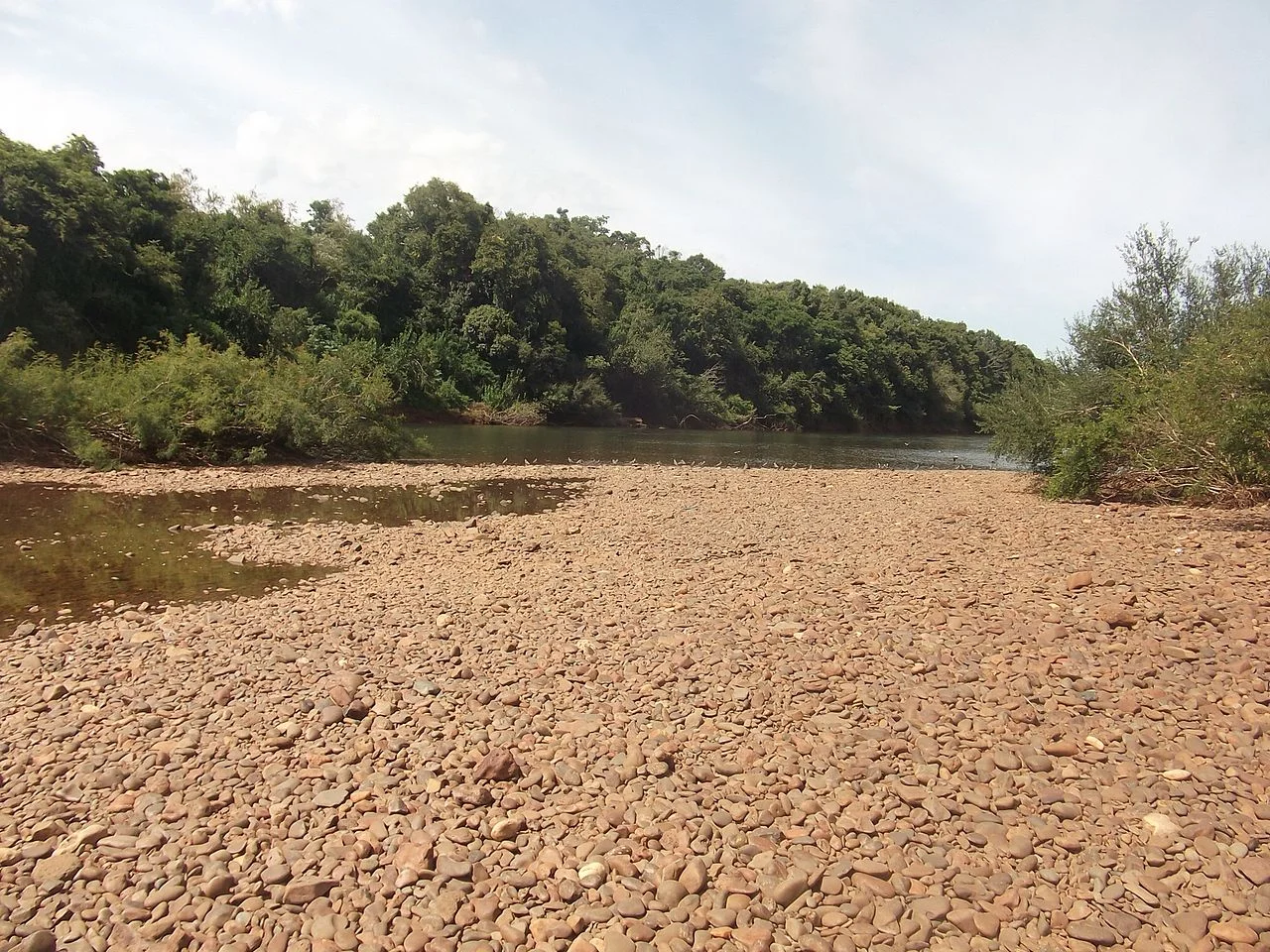 Photo of Vicente Dutra