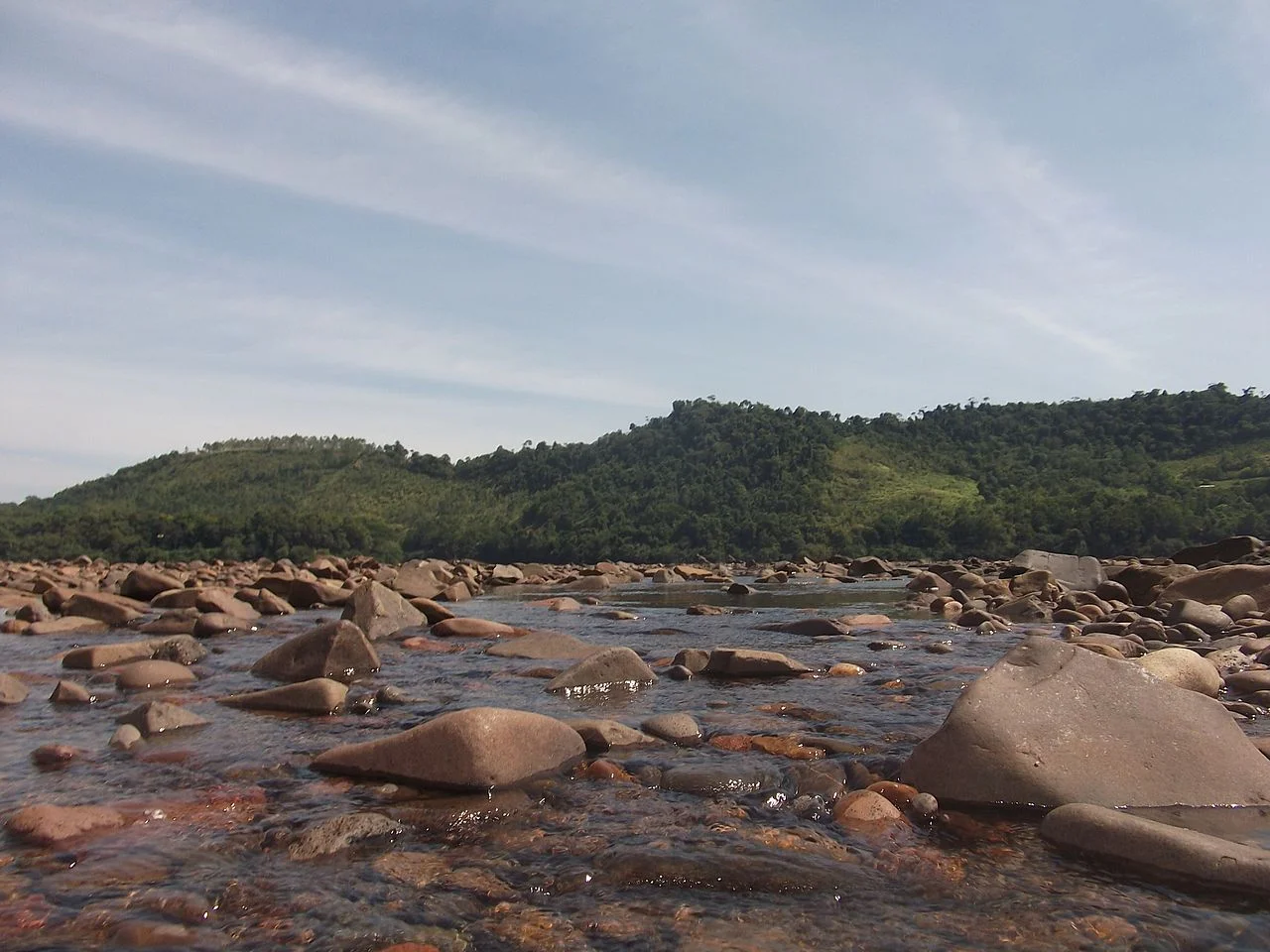 Photo of Vicente Dutra