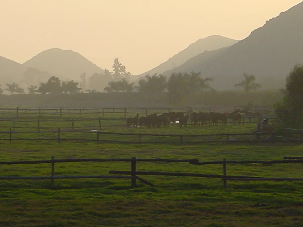 Photo of Víctor Rosales