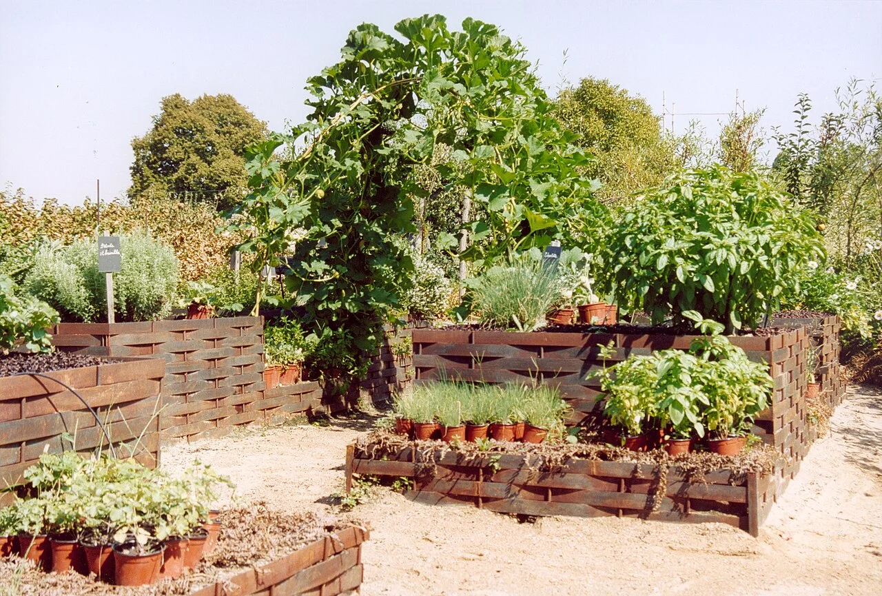 Photo of Victory Gardens
